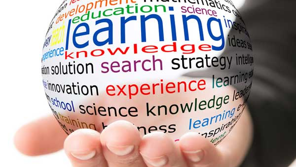 What is Emotional Intelligence?